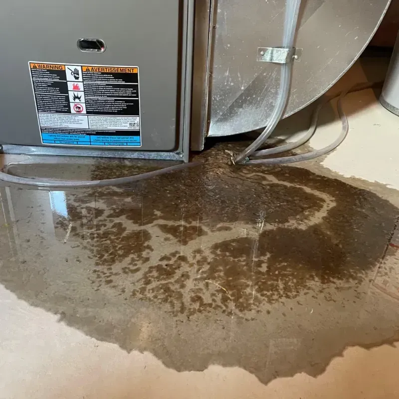 Appliance Leak Cleanup in Southgate, KY